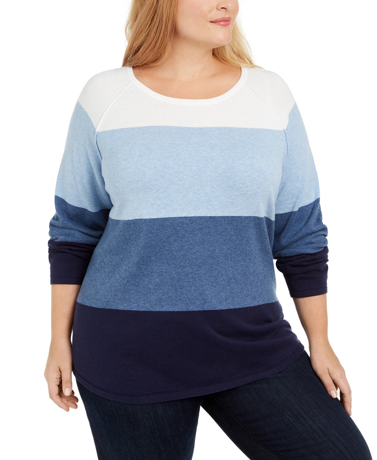 Karen Scott Women's Petite Largeus Size Cotton Colorblocked Sweater Blue Size 0X