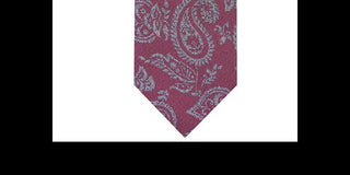 Bar III Men's Glenn Pine Paisley Skinny Tie Red Size Regular
