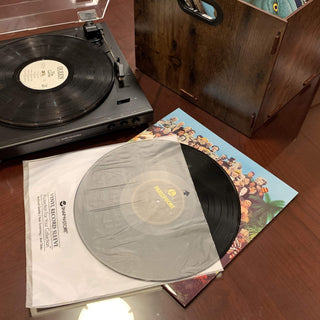 Vinyl Records Sleeves - 25 Pack