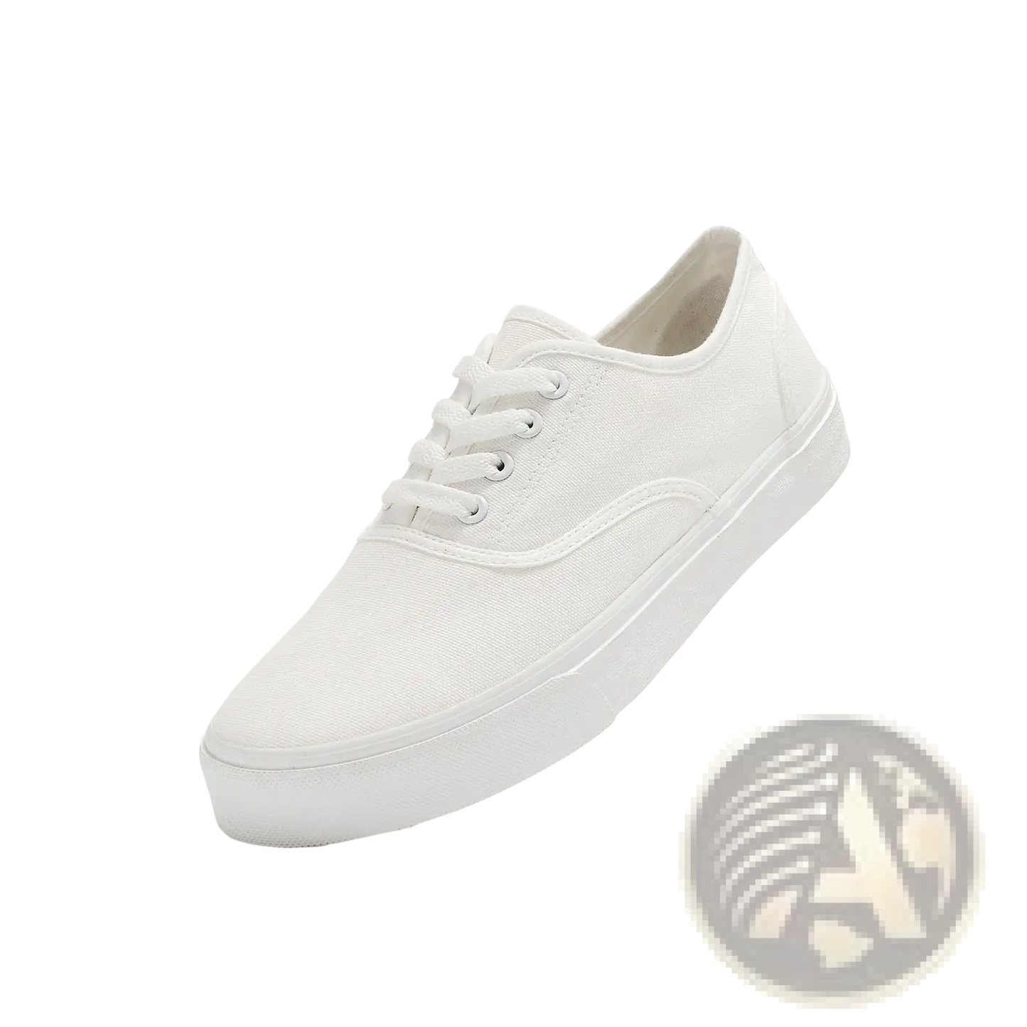 Women's Canvas Lace Up Low Top Casual Sneakers